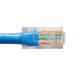 8FT Cat6 Network Cable , CM Type PVC Jacket Cat6 Ethernet Cable PVC Insulation