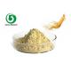 Natural Ginseng Extract 5%-80% Ginsenoside for Healthcare Supplyment