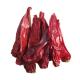 Superior Quality Chilli Cut 1.5cm With High Polished Finish