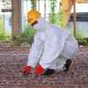 EN14126 Anti-static microporous type 456 disposable coverall for virus protection