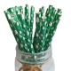 Green  Christmas Paper Straws