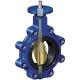 Water Oil Liquid Lug Type Butterfly Valve Pn16 25 Working Pressure Stainless Shaft Butterfly Valve