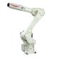 Car Painting Robot RS010N 6 Axis Robotic Arm Painting For Painting Robot