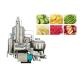 Fruit And Vegetables French FriesVacuum Frying Machine  4800*3200*3200mm