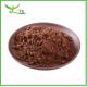 Food Grade Plant Extract Powder 25kg Bulk Alkalized Cocoa Powder