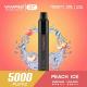 Peach Ice Non Rechargeable 3.5% Nicotine Disposable Vape For Travel 118.36*21*21mm