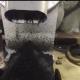 Screw Press Manure Separator Equipment