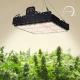 Full Spectrum T5 Led Grow Light For Indoor Plants 250w