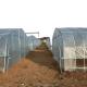 Film Covered Single Span Agricultural Greenhouse For Hydroponic Crop Cultivation