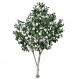 200cm Artificial Green Camellia White Flowers For Hotel Exhibition Decor