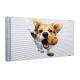 High-Transparency LED Screen Wide Viewing and Installation Adaptability
