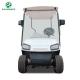 Raysince factory supply Competitive price  two seats golf car good quality electric golf cart