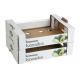 Direct Custom Printing Rectangle Corrugated Box For Avocado Fruit