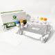 PRRSV Porcine Test Kit Porcine Reproductive And Respiratory Syndrome Virus Antibody ELISA