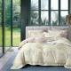 100% Silk Tencel Bedding Sets And Duvet Cover 4pc Bedding Set