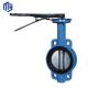 Ductile Iron Butterfly Valve with Stainless Steel Flange Support After-sales Service