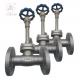 Stainless Steel Flanged Cryogenic Globe Valve SS304/SS316 For LNG/LOX/LN2/LAR/LCO2