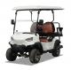 Electric 2 Seater Golf Cart NEA LSV Vehicle High Performance Lithium Battery ODM OEM China Supplier