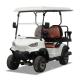 Electric 2 Seater Golf Cart NEA LSV Vehicle High Performance Lithium Battery ODM OEM China Supplier