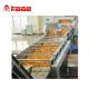 Orange Juice Sus304 Roller Fruit Sorting Conveyor Equipments Customized