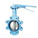 ODM Supported Lug Butterfly Valve with Electrical EPDM Seal and Customized Port Size