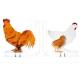 High Quality Chicken Shape Acrylic Bookends