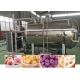 304 Stainless Steel Vacuum Freeze Dry Fruit Machine 100KG
