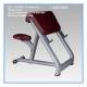 PU Leather Seated Bicep Preacher Curl Machine , Scott Curl Bench For Gym Clubs