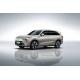 Blue Mountain 2023 four-wheel drive ultra-long battery life version