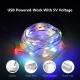 100 LED Fairy Lights USB Powered RGB Leather Wire String Light With Remote Control