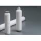Hydrophilic PES Polyethersulfone Membrane Cartridge Filter For DI Water Terminal Filtration