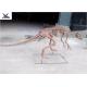 Decorative High Simulation Dinosaur Skeleton Replica Lifelike Dinosaur Skeleton
