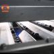 Automatic Blueberries Sorting Machine With PLC Control 99.9% Accuracy