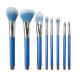 8pcs Makeup Brush Set With Blue Plastic Handle Portable Beauty Tool