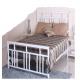 Metal Bed Frame Single Home Furniture Bed with Certifications ISO9001 / ISO14001