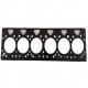 T3681H208 /T7205009 Foton Truck Parts Cylinder Head Gasket for 2005- Year Standard