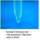 Sperm Collection Kit , Male Infertility Test Kit With Funnel / Test Tube