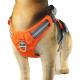 Personalised Dog Hiking Harness With Handle For Back Legs Large Soft Breathable Waterproof