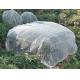 High Density Agriculture Insect Net 50gsm Plant Cover Net 60mesh White Vegetable