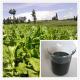 best plant food for all plants and tree:seaweed extract fertilizer liquid