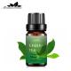 10ml Organic Green Tea Essential Oil Perfume 100% Pure Natural Essential Oil ODM