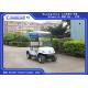 2 Person Mini Electric Golf Carts Motorised Golf Buggies With Cargo Box