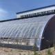 Arched Roof Greenhouse The Ultimate Sunlight Solution for Tomato and Cucumber Farming
