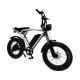 1460*320*840mm REMOVABLE BATTERY Hot E-Bike Fat Tire Mountain Bike Electric Bicycle