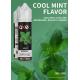 GMP 100ml E Cigarette Vaping Liquid 1000 Falvors Customized Labels