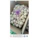 China fresh garlic export to Brazil by Pioneer Garlic Group