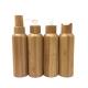 120ml 30g Empty Makeup Containers PET Refillable Airless Pump Bottles 250cc