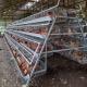 120/160 Birds Layer Chicken Cage Cold Galvanized 4 Layers/Cell