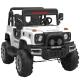 G.W. N.W 34/26kg CBM 0.54 Two-Seat Off-Road Toys 12V Electric 4x4 Ride On Cars for Kids
