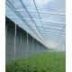 Tech Double Layer Agricultural Plastic Film Hydropoinics Greenhouses for Aquaculture